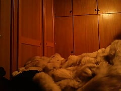 Cumshot in doble sided Fur overall