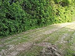Third part: pissing