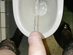 pee willy