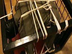 Restrained to a cage - 2