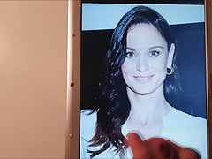 Sarah Wayne Callies Cum Tribute