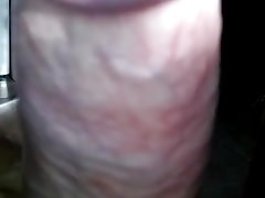 Verga madura caliente y dura para llenarte toda nena