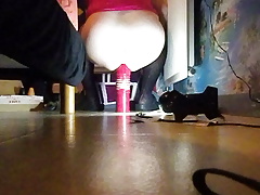 MOI