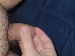 Can't Concentrate Wifey is Frolicking Brute Crossing next to me