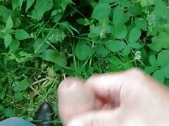Ejaculation in a field