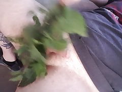 Jerking Off 2, Nettle foreplay