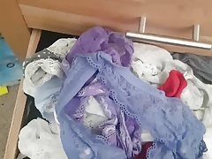 Girlfriend's Sisters Panty Drawer