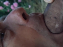 Huge dick in compilation