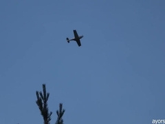 Gay Boy - Oliver & Aiden On The Beach