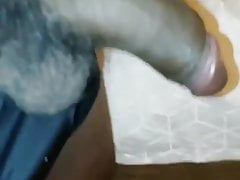 Hard hairy dick