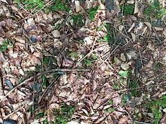 Im Wald pissen