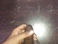 6 Inch Indian Cock