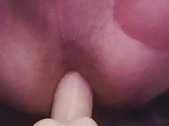 Delicious