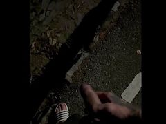 Park and Masturbation