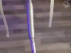 Dino fucking machine