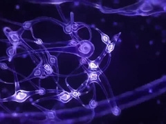 AN AFTERNOON WITH FRANK YANG EXPLICIT ANAL VERSION