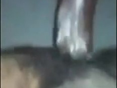 boi pussi gets raw