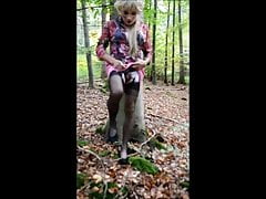 In the forest
