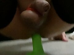 My little green friend