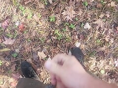 Fun at the park.