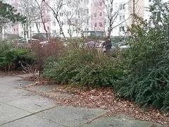 Pretty twink cums all of his boy's ass