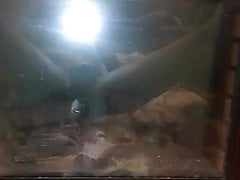 Solo! Diggging in my ass! About to get three Anal orgasms.