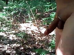 Im Wald