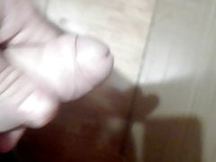 Polla