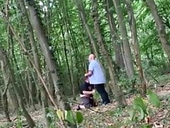 Bear in the Wood