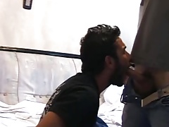 Gay Porn ( New VenyverasTRES )