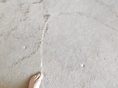 Pissing on my bedroom carpet