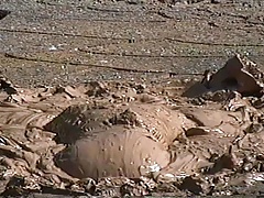 Ass Waves in Mud