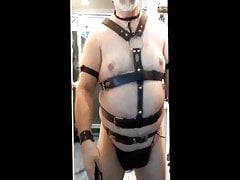 Davybaby1 in The Leatherbear is Back!