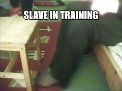 slave in tights