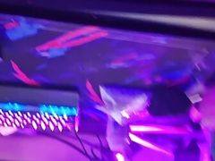 Big dick w HUGE cumshot after edging