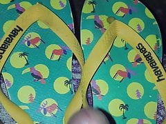 Havaianas X Happy Socks
