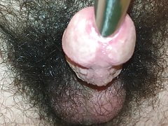 Peehole Play