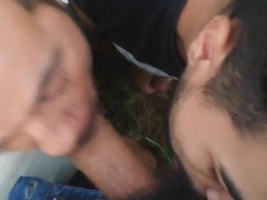 Rica Mamada en el parque haciendo Cruising