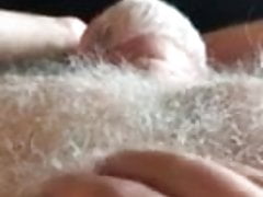 Urso