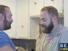 Grizzly fat bear cock polished hard by his hairy a nasty cub