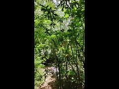 Sucking 6 strangers at Cruising Area