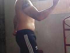 Oso