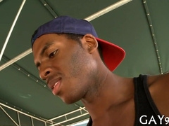 Interracial Homosexual Doggystyle Action with a Bi-Racial twist