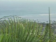 Island Fever 02 Scene 2