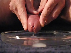 Dish Cum